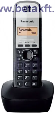 Panasonic KX-TG1911HGG